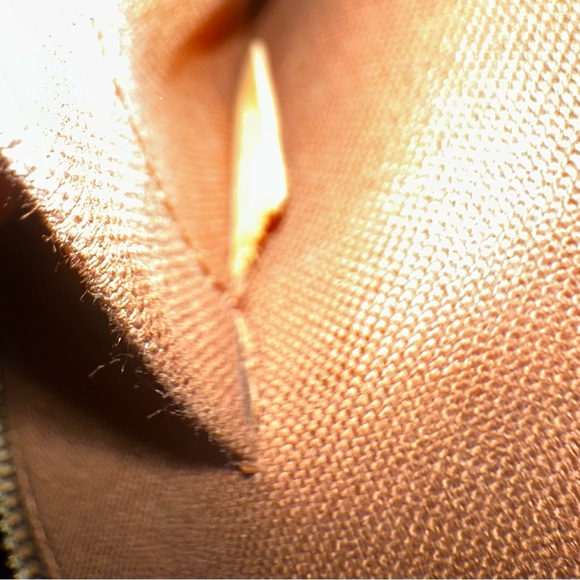 Louis Vuitton Alma PM - Picture 9 of 10